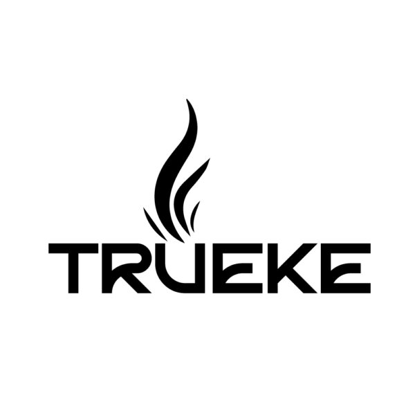 Modern TRUEKE logo featuring bold text and dynamic flame design for brand identity.